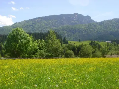 Naturlandschaft in der Nähe des Bauernhofs