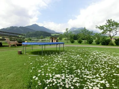 Naturlandschaft in der Nähe des Bauernhofs