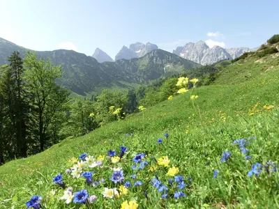 Naturlandschaft in der Nähe des Bauernhofs