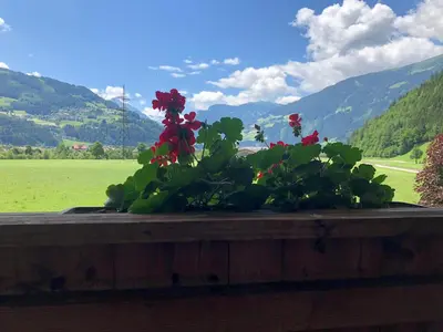Naturlandschaft in der Nähe der Pension