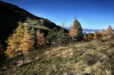 Naturlandschaft in der Nähe der Ferienwohnung