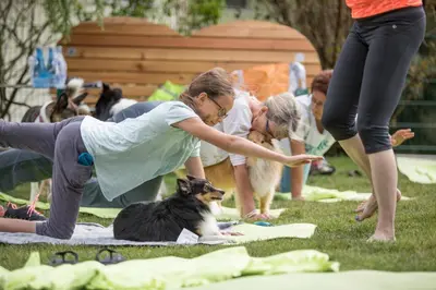 Gäste, die in der Unterkunft Hotel Magdalena im Zillertal - Urlaub mit Hund übernachten