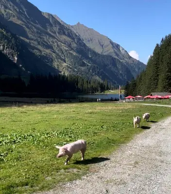 Naturlandschaft in der Nähe des Hotels