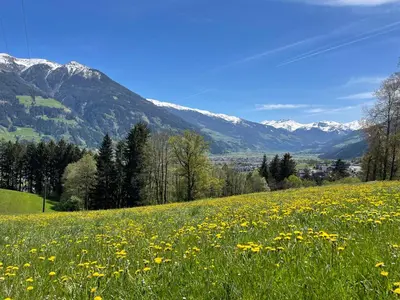 Naturlandschaft in der Nähe der Ferienwohnung