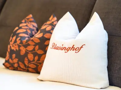 Grundriss der Unterkunft Blasinghof