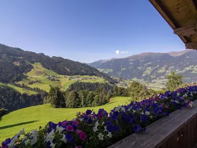 Naturlandschaft in der Nähe der Ferienwohnung