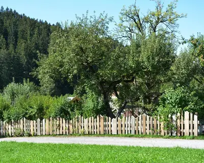 Naturlandschaft in der Nähe des Bauernhofs