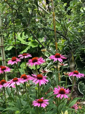 Ein Garten an der Unterkunft Oberachenhof