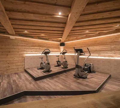 Das Fitnesscenter und/oder die Fitnesseinrichtungen in der Unterkunft Hotel Malerhaus