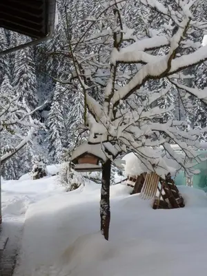 Appartement Ripper im Winter