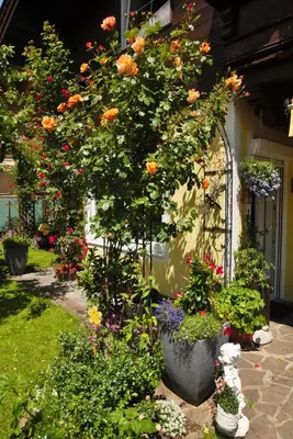 Ein Garten an der Unterkunft Appartement Ripper