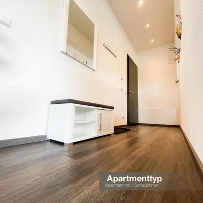 TV/Unterhaltungsangebot in der Unterkunft Apartment Spitzenblick