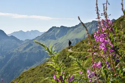 Naturlandschaft in der Nähe der Ferienwohnung