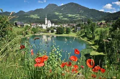 Naturlandschaft in der Nähe der Ferienwohnung