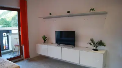 TV/Unterhaltungsangebot in der Unterkunft Schlossbergblick