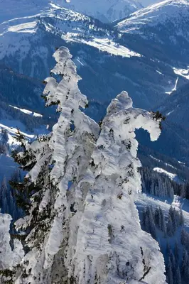 Ein allgemeiner Bergblick oder ein Berglick von der Ferienwohnung aus