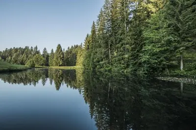 Naturlandschaft in der Nähe der Ferienwohnung