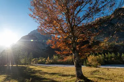 Naturlandschaft in der Nähe der Ferienwohnung