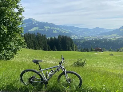 Naturlandschaft in der Nähe der Ferienwohnung