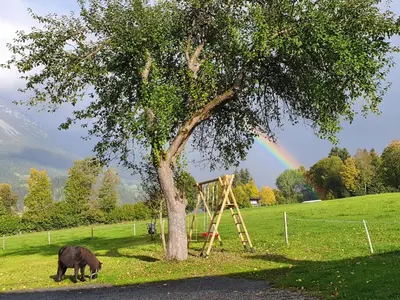 Naturlandschaft in der Nähe des Bauernhofs