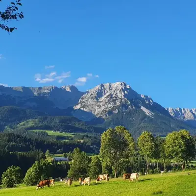 Bauernhof Neu-Endfelden