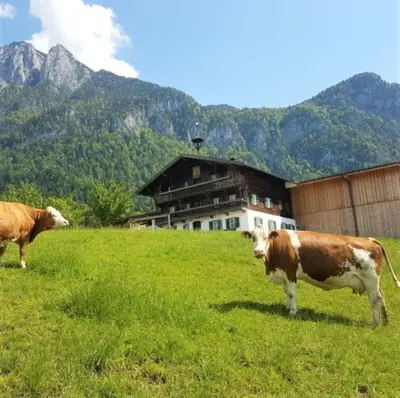 Tiere in diesem Bauernhof oder in der Nähe