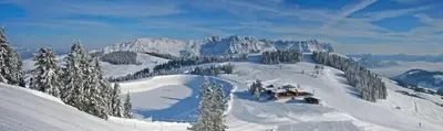 Landhaus Alpina im Winter