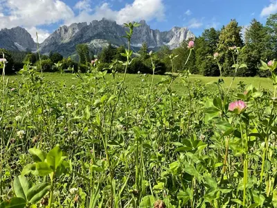 Naturlandschaft in der Nähe der Ferienwohnung