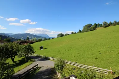 Naturlandschaft in der Nähe des Ferienhauses