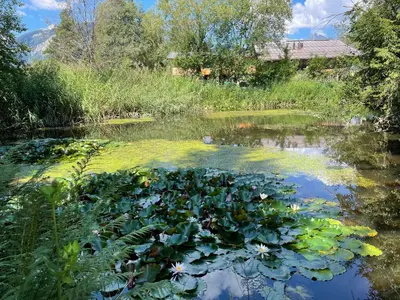 Naturlandschaft in der Nähe der Ferienwohnung