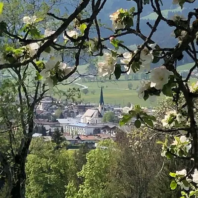 Naturlandschaft in der Nähe der Ferienwohnung