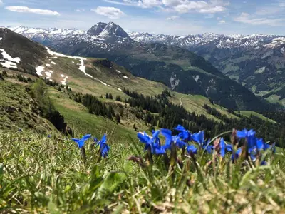 Naturlandschaft in der Nähe der Ferienwohnung