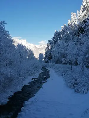 Naturlandschaft in der Nähe der Ferienwohnung