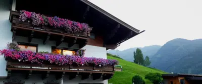 Ein allgemeiner Bergblick oder ein Berglick von der Ferienwohnung aus