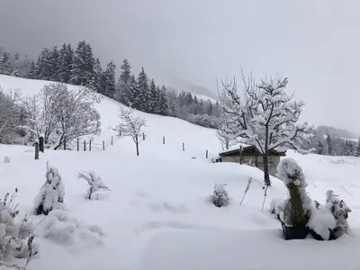 Grundriss der Unterkunft Haus Baumoos