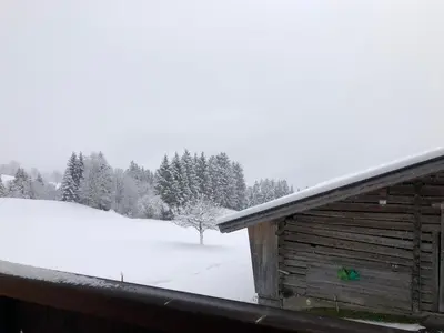 Grundriss der Unterkunft Haus Baumoos