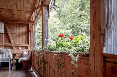 Ein Garten an der Unterkunft Talsenalm Wald Habitat