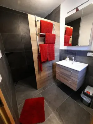 Ein Badezimmer in der Unterkunft Ferienwohnung Silbernagel