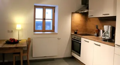 Küche/Küchenzeile in der Unterkunft Apartment Nester