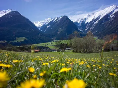 Naturlandschaft in der Nähe der Ferienwohnung