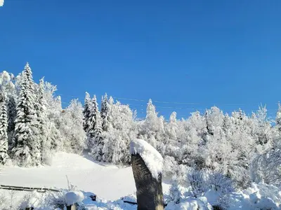 Apartment in Hohe Tauern near Wildkogel Arena im Winter
