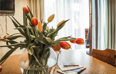 Grundriss der Unterkunft Schoene Ferienwohnung-Niederau