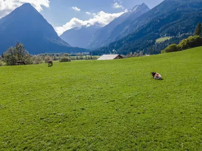 Naturlandschaft in der Nähe der Ferienwohnung