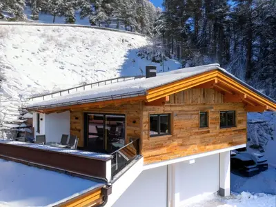 Chalet Georg im Winter