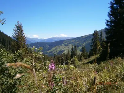 Naturlandschaft in der Nähe der Ferienwohnung