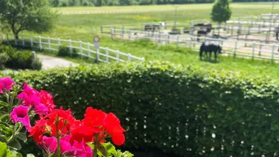 Ein Garten an der Unterkunft Villa Rosa-Panorama App