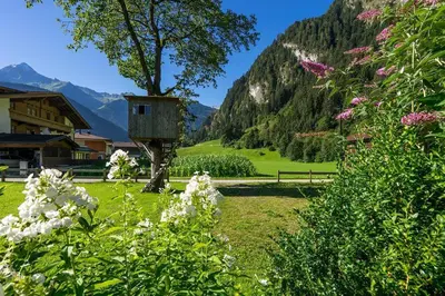 Naturlandschaft in der Nähe des Ferienhauses