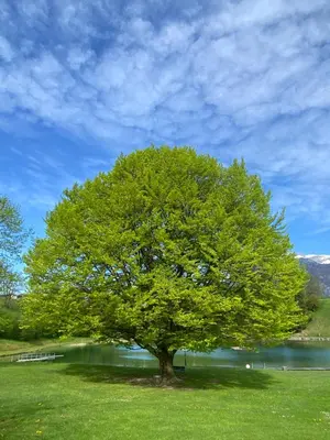 Naturlandschaft in der Nähe der Ferienwohnung