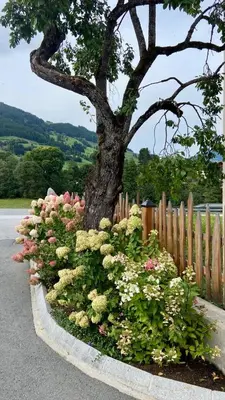 Grundriss der Unterkunft Haus Gantschnigg