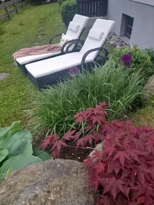 Ein Garten an der Unterkunft Lilly Fein